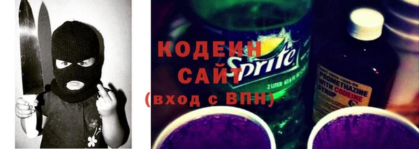 тгк Гусев